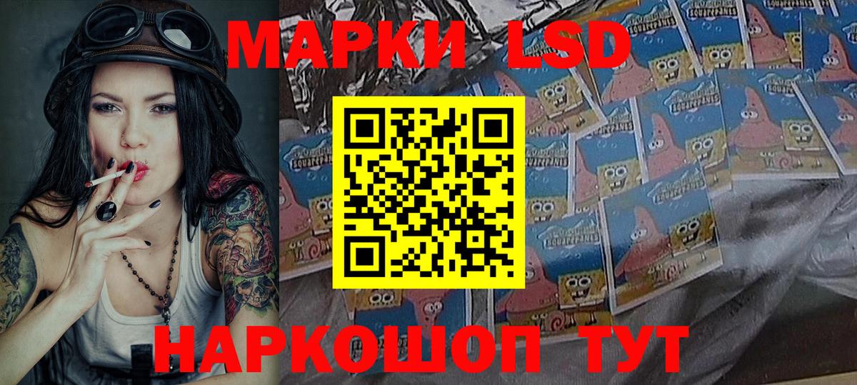 Наркотические марки  Наркотические марки 1,8мг  Вход с VPN  Наркотические марки 1,8мг  Пенза 