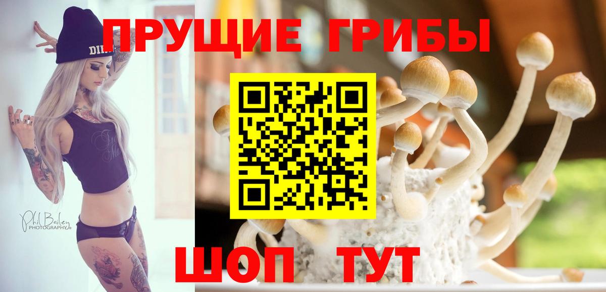 Пенза  Галлюциногенные грибы Magic Shrooms  Вход с VPN 